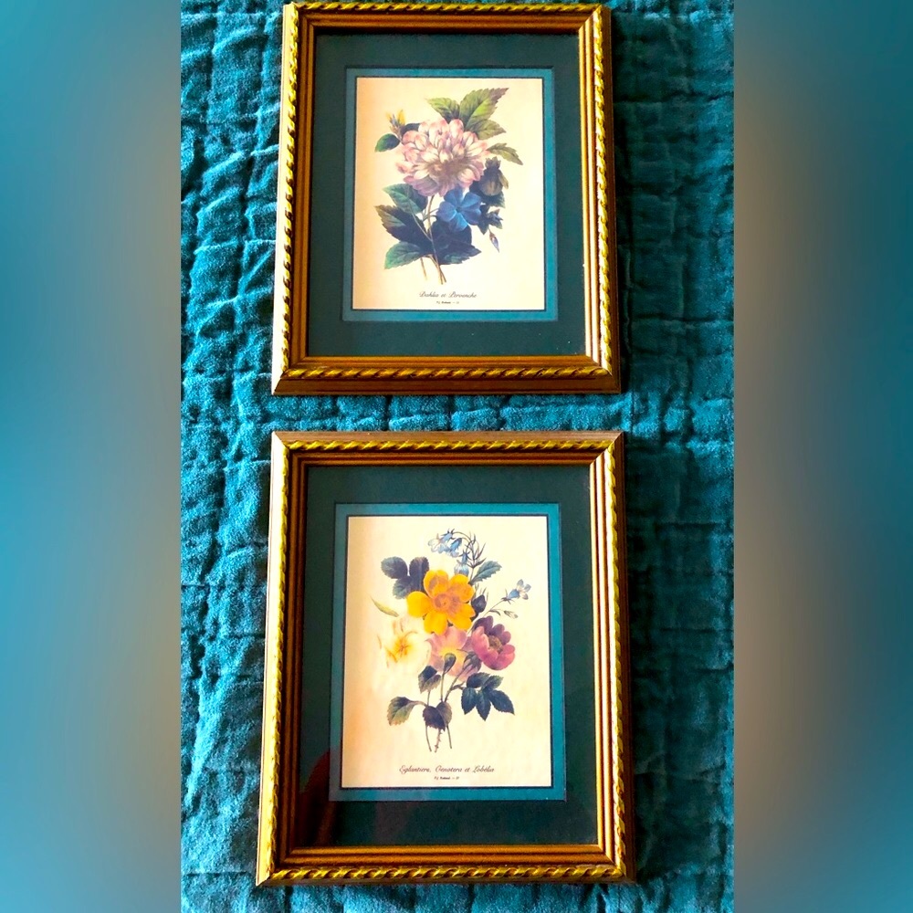 Two beautiful framed & matted floral prints.